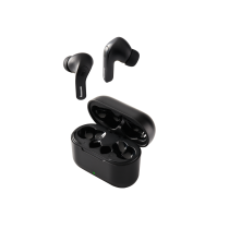 Panasonic RZ-B310 True wireless