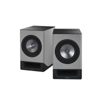 Technics SC-CX700 trådløs højttaler